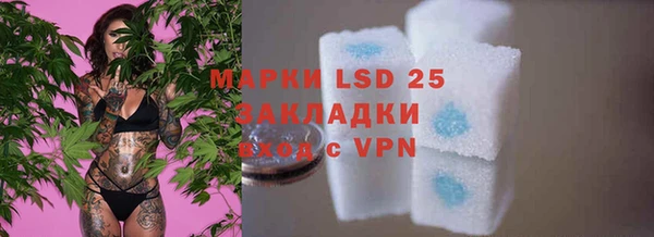 PSILOCYBIN Верхний Тагил