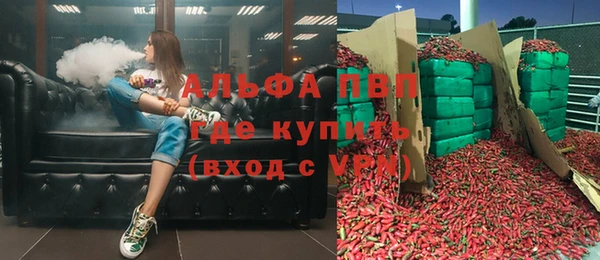 PSILOCYBIN Верхний Тагил
