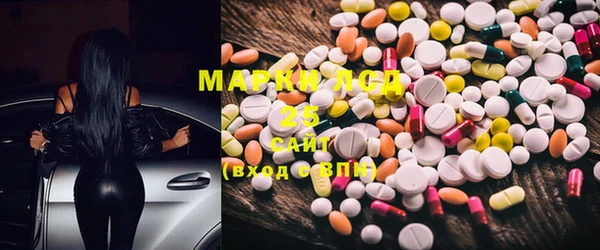 PSILOCYBIN Верхний Тагил