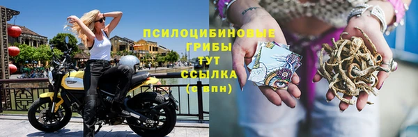 прущая мука Верея