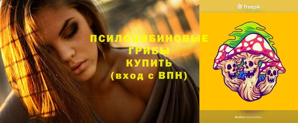 PSILOCYBIN Верхний Тагил