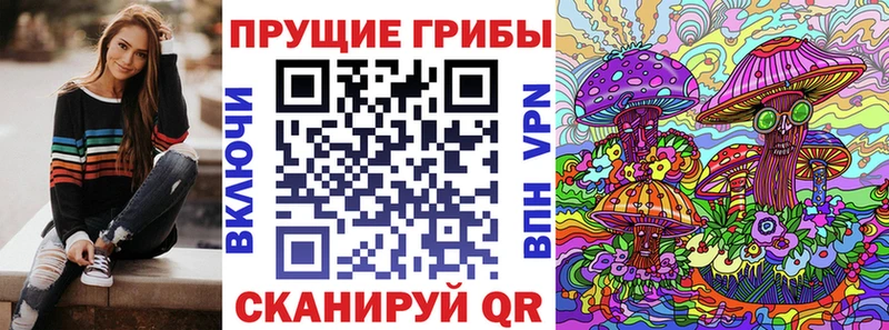 Псилоцибиновые грибы Cubensis  Кировград 